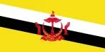 BN_flag BN_flag